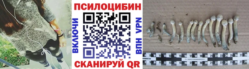 Галлюциногенные грибы Cubensis  Купить где  Динская 