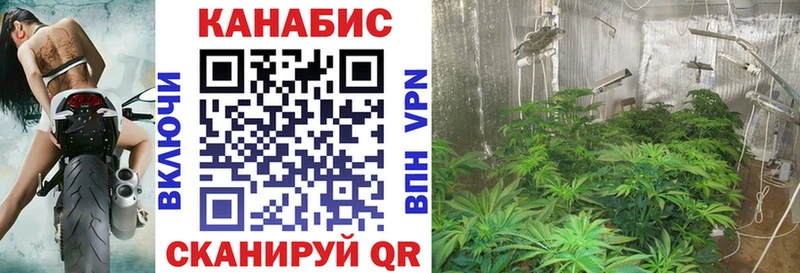 Конопля MAZAR Купить Динская